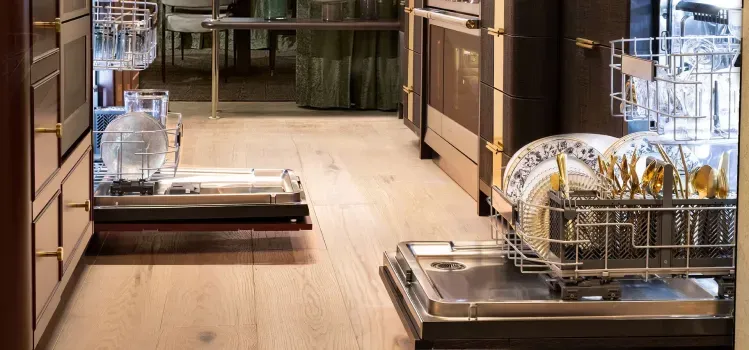 monogram-ZDT800SSYSS-stainless-fully-integrated-dishwasher-side-view-open